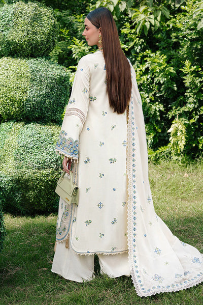 3 Piece Cotton Suit - Unstitched
